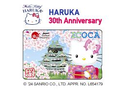 HARUKA 30th Anniversary
